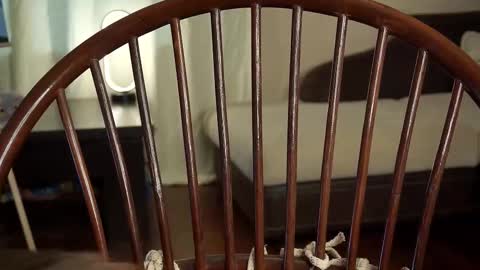 hi im Lyle online show from 02.27.25