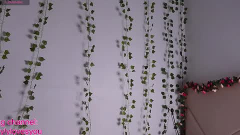 Lyly   online show from 09.12.25