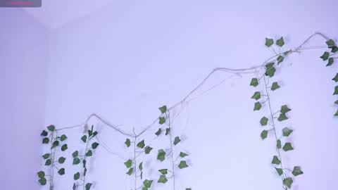 Lyly   online show from 01.12.26