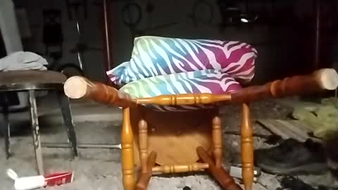 m46162328 online show from 09.24.25