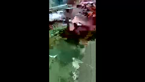 Snapshot of maciasbraulio846 chatting on 03.14.26 maciasbraulio846 online show from 03.14.26