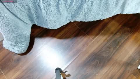 Snapshot of maddy_14 chatting on 01.28.25 Maddy UwU online show from 01.28.25