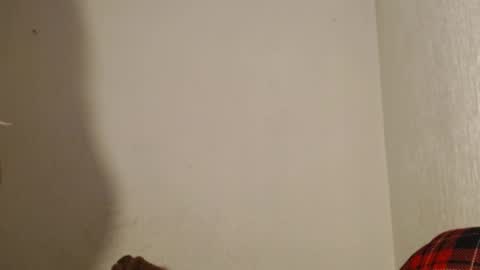 Made online show from 12.26.24