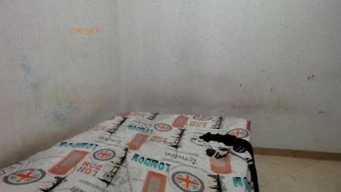 Snapshot of madisson__sexx chatting on 05.29.26 Valentina online show from 05.29.26