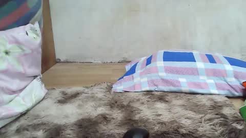 maegold69 online show from 01.08.26