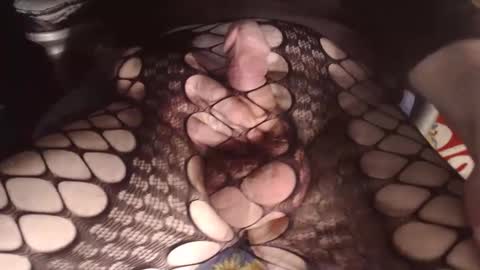 maestro2017 online show from 01.08.26