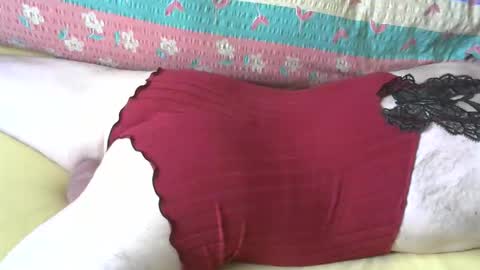 maestro2017 online show from 04.11.26