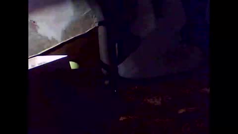 romantic online show from 11.02.25