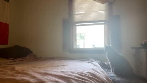 Snapshot of mainecollegeboy chatting on 02.26.25 mainecollegeboy online show from 02.26.25