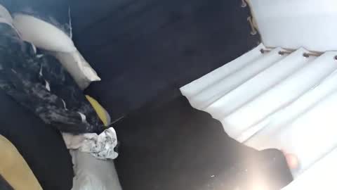 Snapshot of majestic_princesslei chatting on 01.12.25 Lei online show from 01.12.25