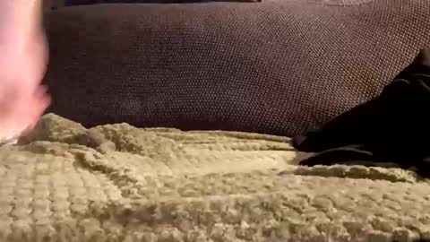 mako998843 online show from 01.06.26