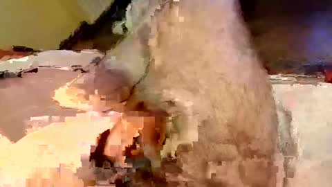 mako998843 online show from 02.15.26