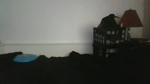 Snapshot of malebdsmslut chatting on 05.31.26 CommandbondageNipples bondage kink submissive lovense slave wgear. modequiethvyBondage If Password goldfish online show from 05.31.26