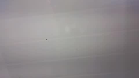 malen_fitnessmilf online show from 03.22.26