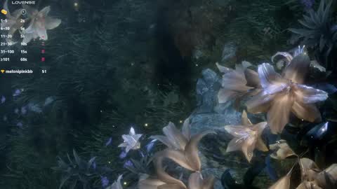 piu online show from 03.26.26