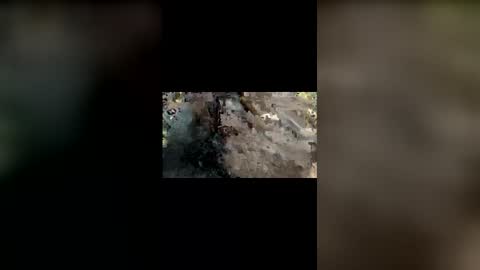 Mallubull online show from 11.25.25