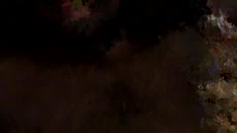 Mallubull online show from 03.17.26