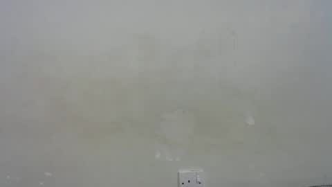 mamuuu_ online show from 01.10.26