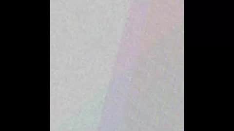 manatee bear online show from 09.17.25