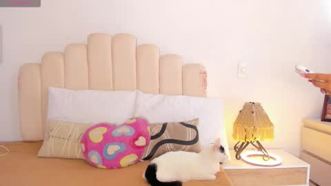   online show from 11.05.25