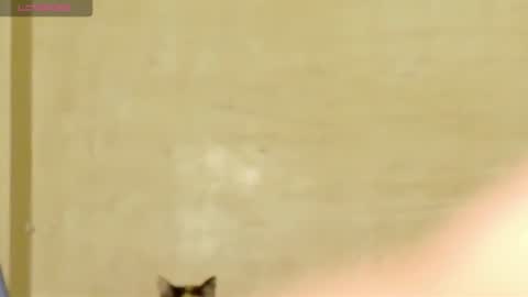 Snapshot of manumeow_ chatting on 06.18.26 Manu online show from 06.18.26
