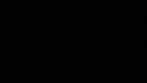 Elle online show from 11.22.25