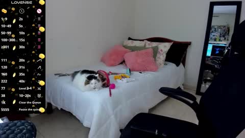   Mariam Castiblanco online show from 01.14.25