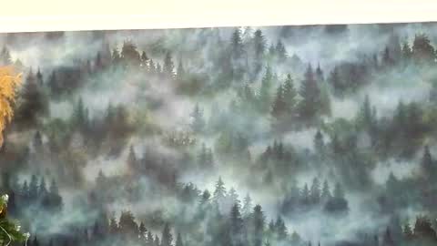 Snapshot of markshot_ chatting on 12.14.25 markshot_ online show from 12.14.25