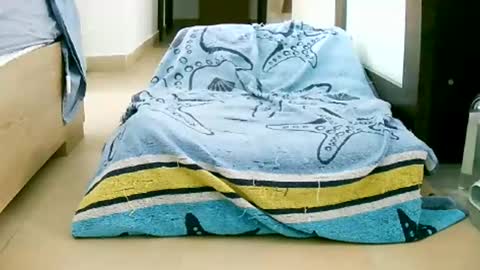 Play with me I obey I promise  online show from 10.12.25