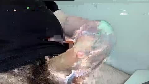 mas12345678910 online show from 12.01.24