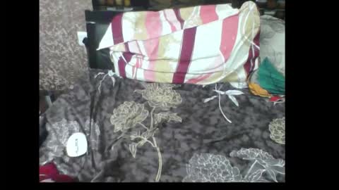 Snapshot of mas_art chatting on 11.28.25 prash 410 online show from 11.28.25