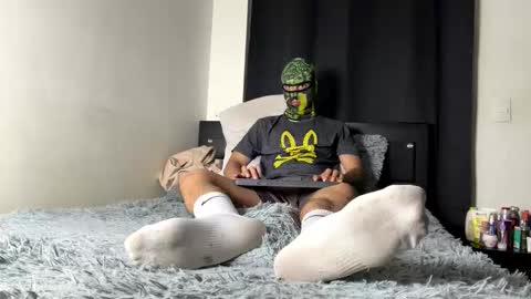 MasterCOL online show from 03.11.26