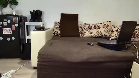 SIR online show from 12.02.24