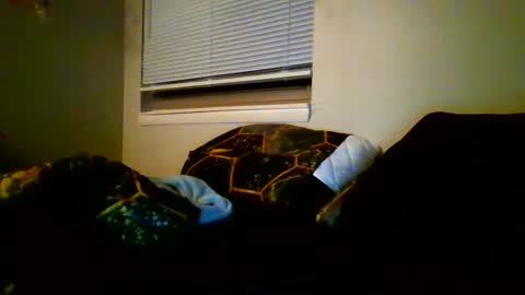 alex online show from 01.12.25