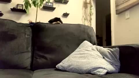 masturbationsession69 online show from 01.08.26