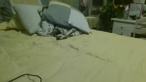 Snapshot of mathislauraashley2023 chatting on 05.31.26 mathislauraashley2023 online show from 05.31.26