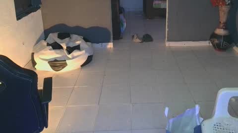 mattias     online show from 02.19.25