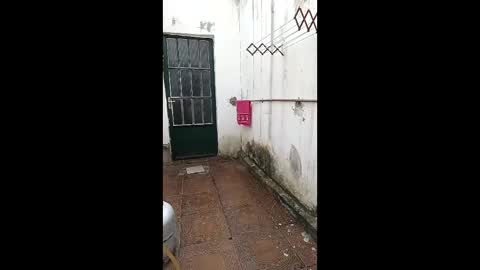 mature_boy77 online show from 02.03.26