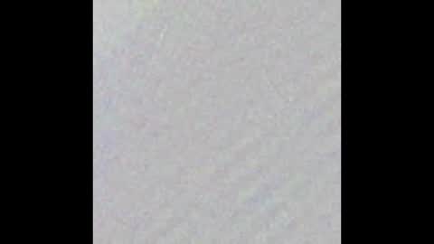 Max Taylor online show from 03.17.26