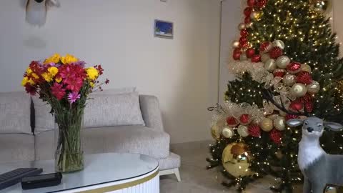 Sebastian online show from 12.07.24