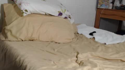 Snapshot of maxxxiimiliano chatting on 11.04.25 Maxx online show from 11.04.25