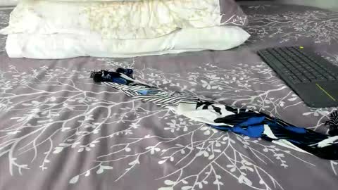 Maybelline69 online show from 03.02.26