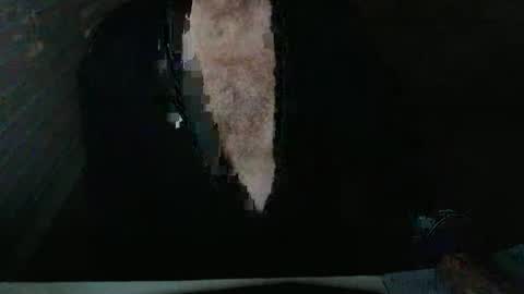 Beastie online show from 11.05.25