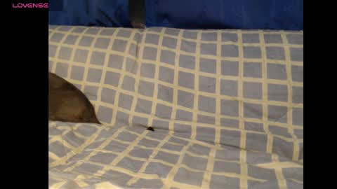 Meg4n Miauuuu online show from 02.19.25