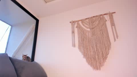 megan online show from 01.03.25