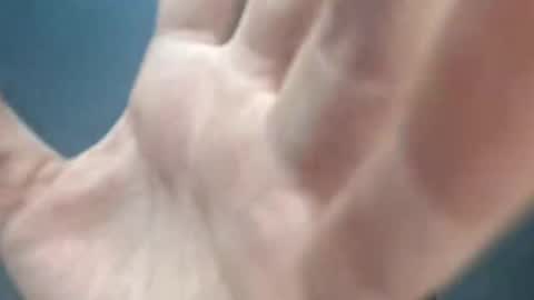 Megan and sophi online show from 03.05.26