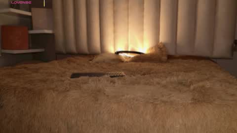     online show from 11.16.25