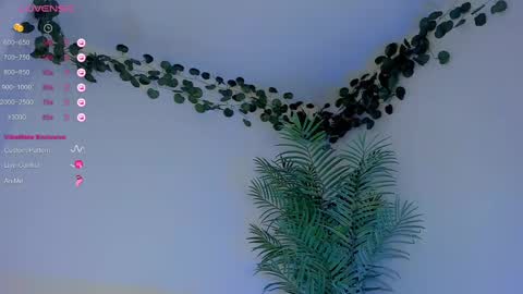 megancarlott_ online show from 03.01.25