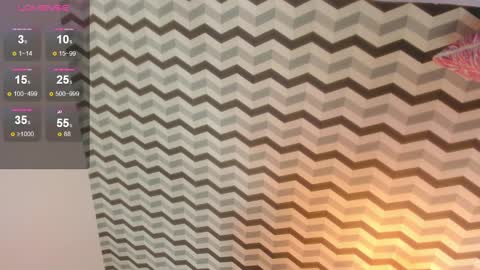 Megan  online show from 01.23.25