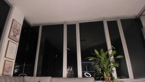 Mara online show from 01.31.25